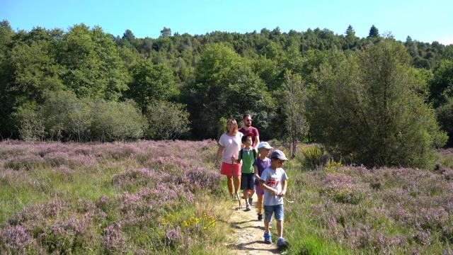 Balade En Famille