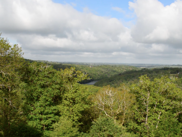 Hostellerie Du Bourg D'hem