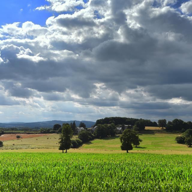 Nature sauvage vers Bourganeuf