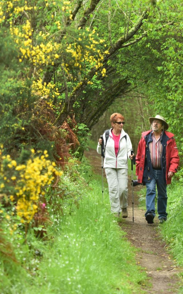 Randonnée pédestre dans la Creuse