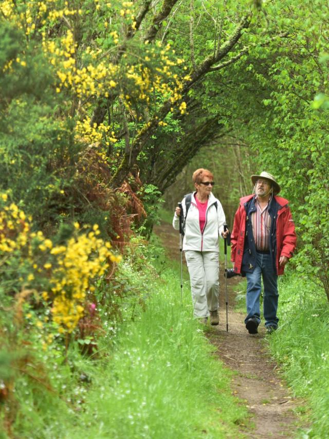 Randonnée pédestre dans la Creuse