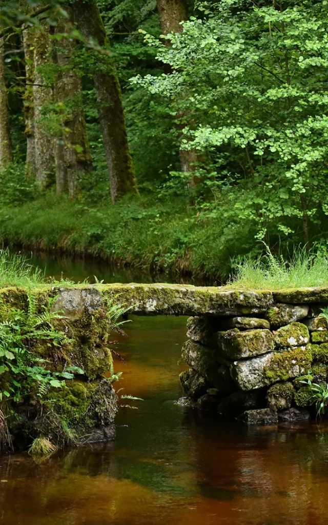 Site de la cascade des Jarrauds