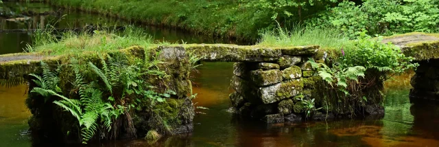 Site de la cascade des Jarrauds