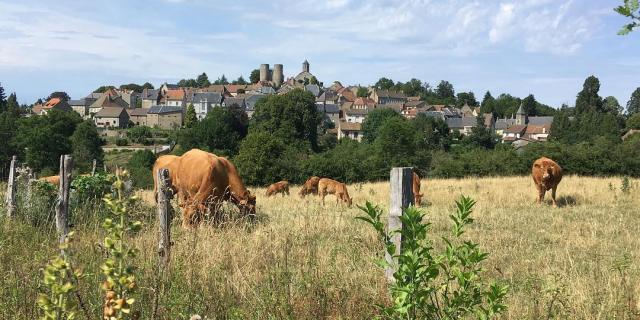 Instagram #creuse