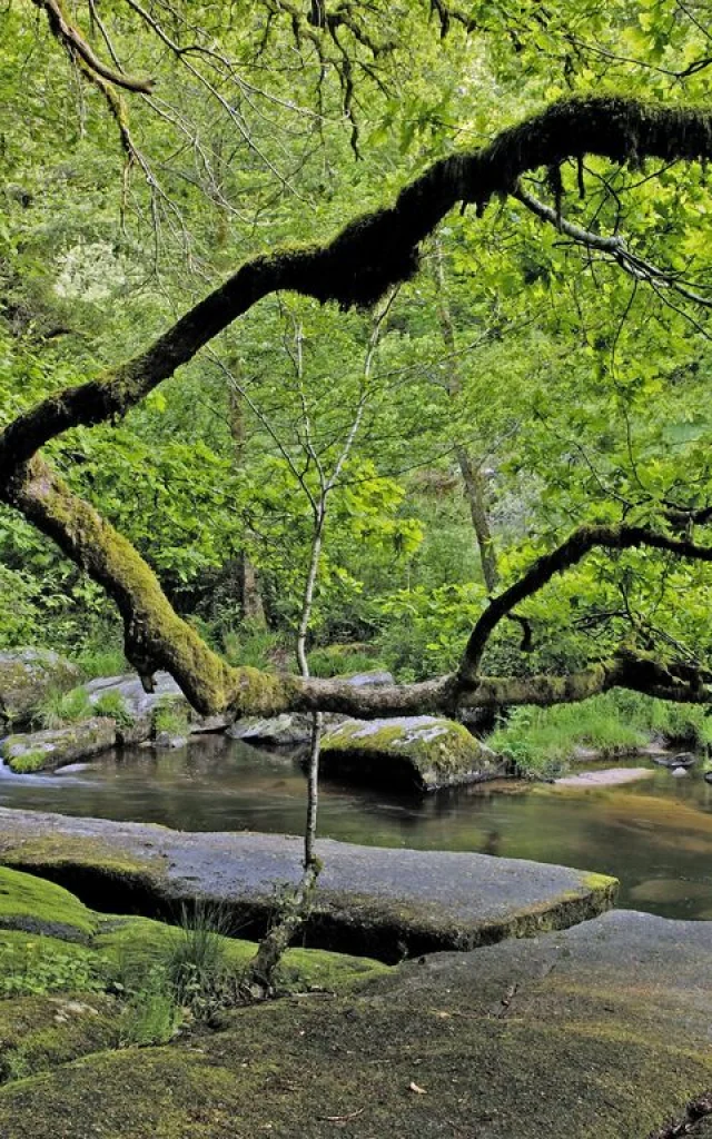 Vallée Du Thaurion