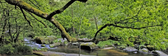 Vallée Du Thaurion