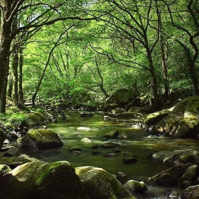 Instagram #creuse