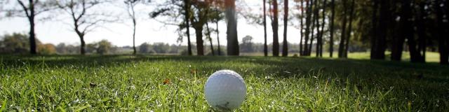 Balle De Golf De La Jonchère