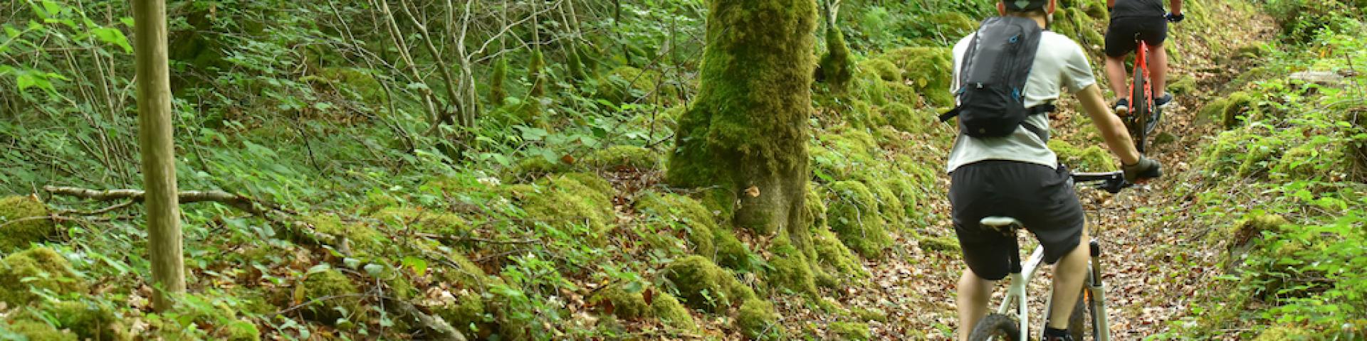 Forêt d'Épagne - Creuse Sud Ouest