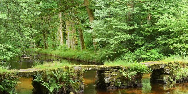 Site de la cascade des Jarrauds-VTT et rando-Syndicat Mixte du Pays Sud Creusois-02/07/2016