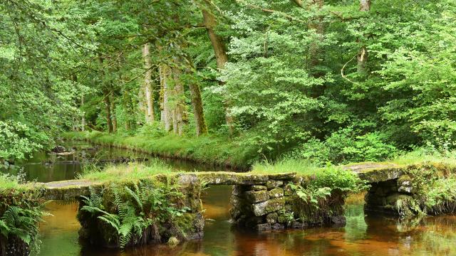 Site de la cascade des Jarrauds-VTT et rando-Syndicat Mixte du Pays Sud Creusois-02/07/2016