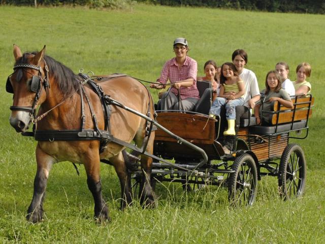 balade-en-famille-3.jpg