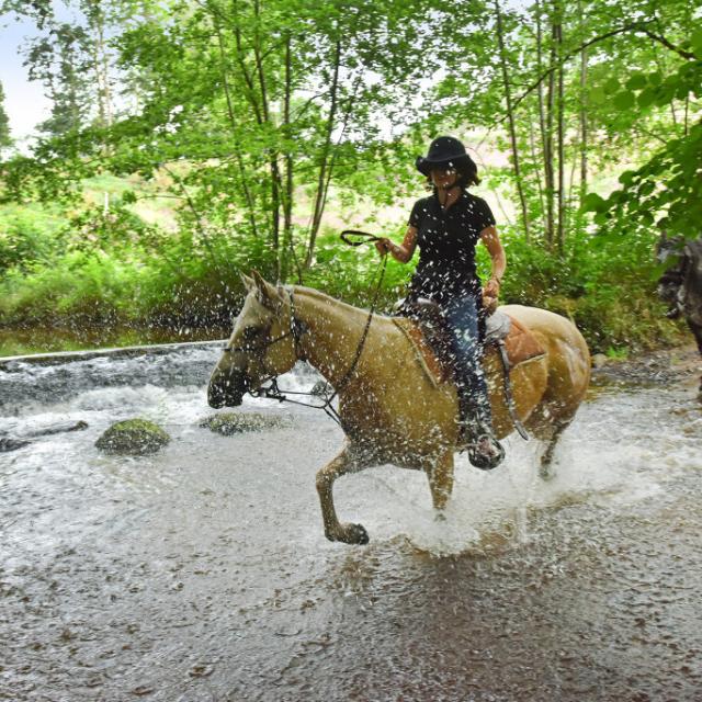 Équitation dans la Creuse