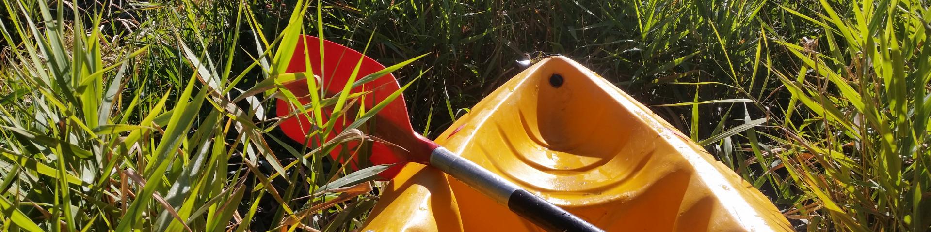 Descente de la Maulde en kayak