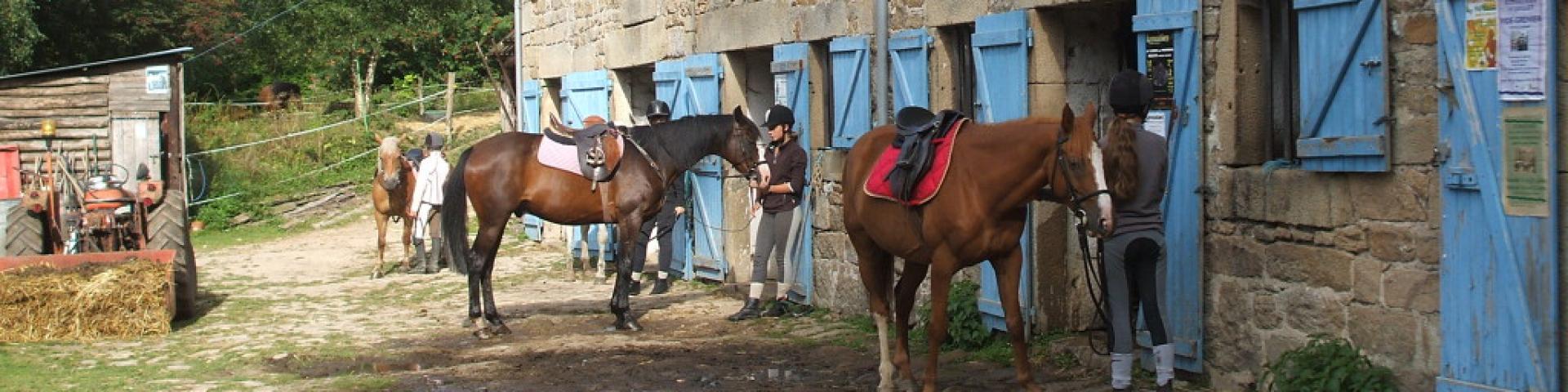 Cheval en Creuse