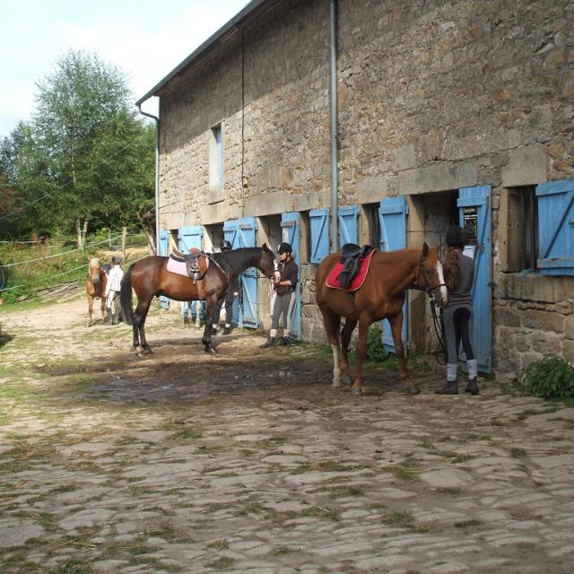 Cheval en Creuse
