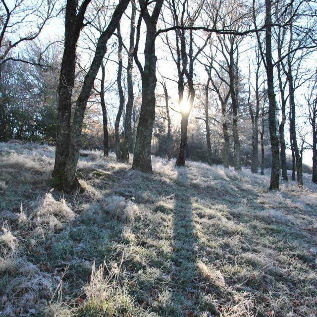 Instagram #ilovecreuse