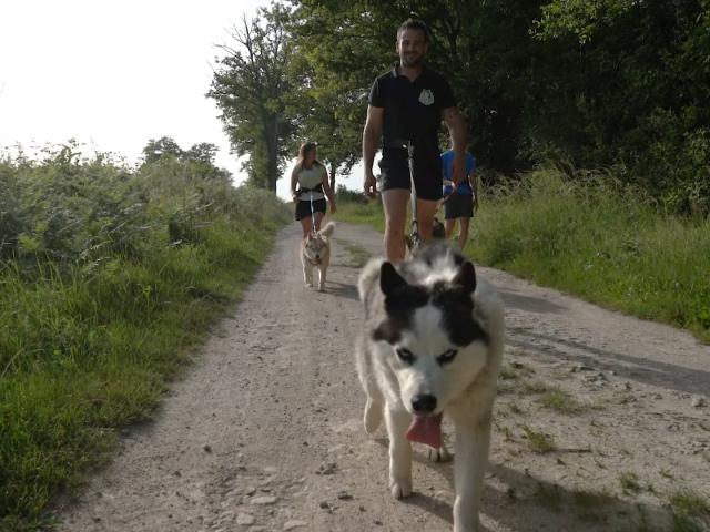 Canirando Husk'in Creuse