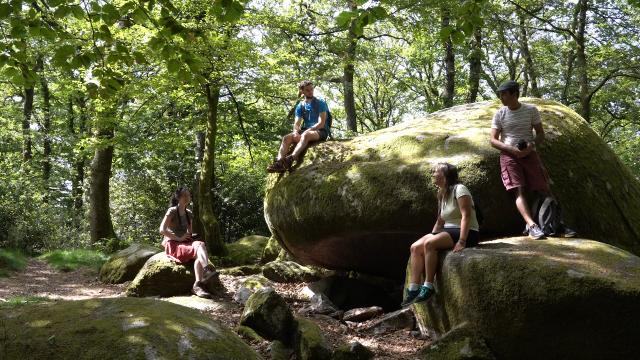 Randonnée en Creuse - Forêt de Chabrières