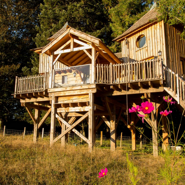 tree-house-1.png