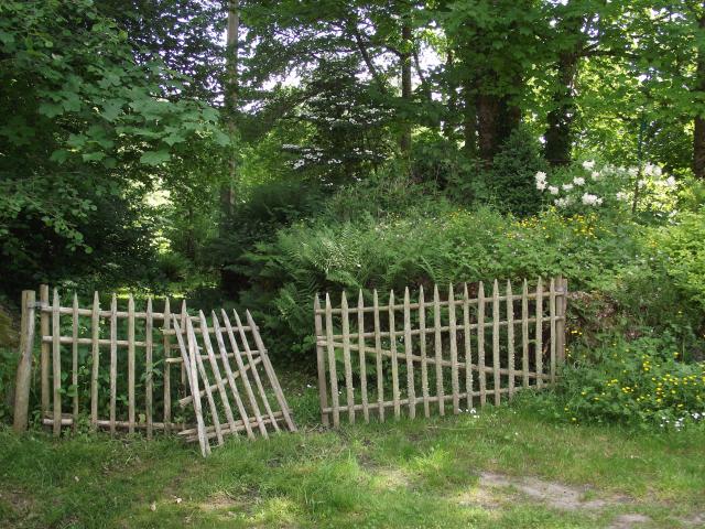 dscf0097.jpg