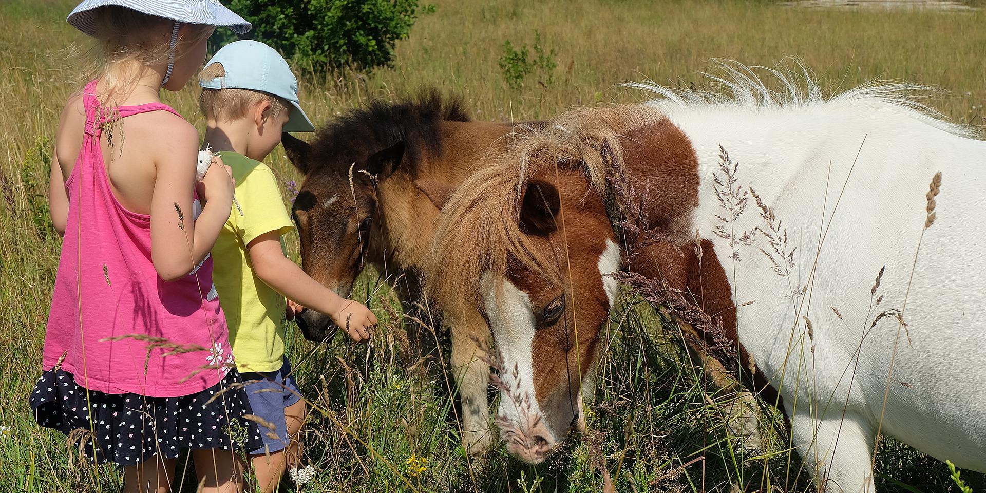 Enfants Poneys