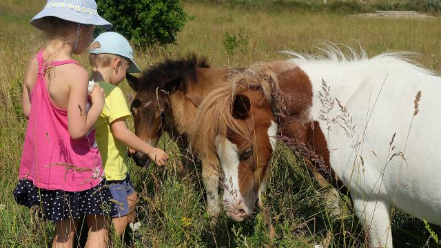 Enfants Poneys