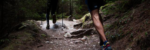 trail-plateau-de-millevaches.jpg