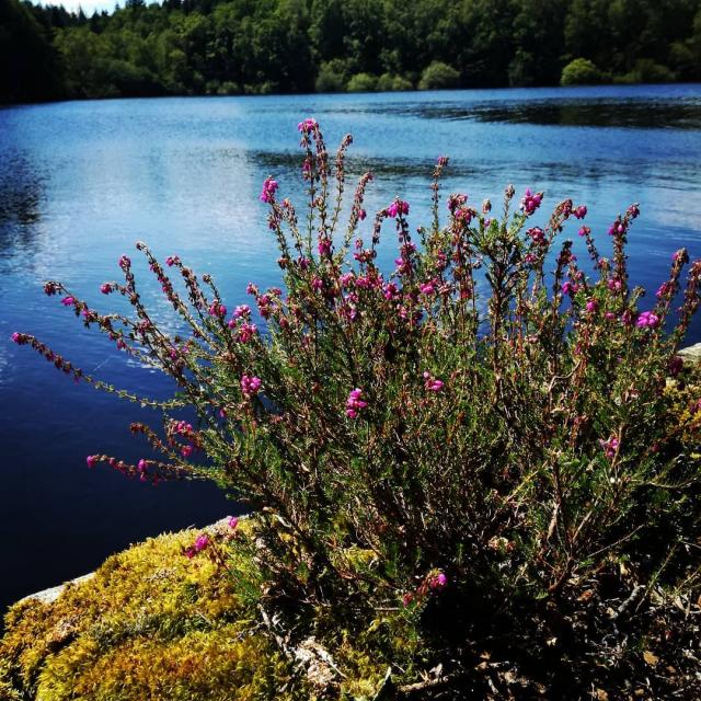 Instagram #ilovecreuse