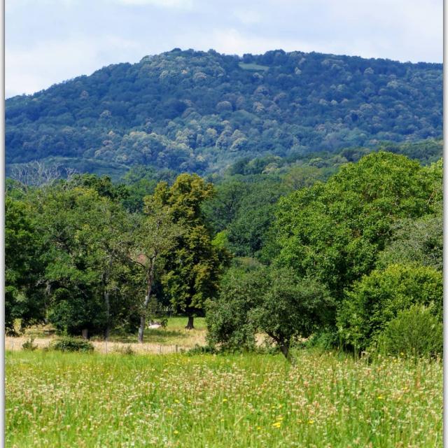 Instagram #ilovecreuse