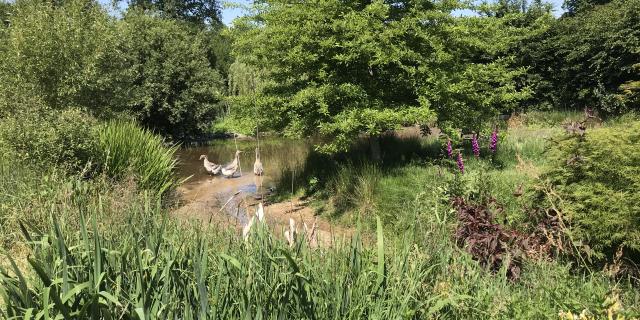 Artbotanic Jardin en Creuse