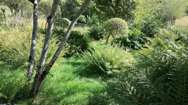 Jardin Val Maubrune - La Creuse