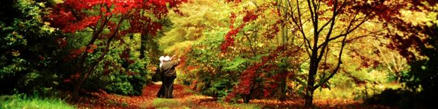 automne-en-creuse.jpg