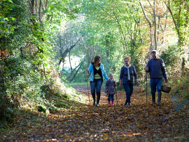 Balade D'automne En Creuse