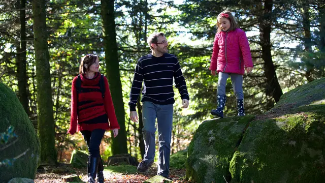 Balade D'automne En Foret ©m.anglada