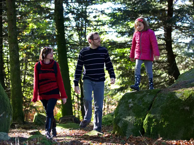 Balade D'automne En Foret ©m.anglada