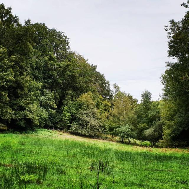 Instagram #ilovecreuse