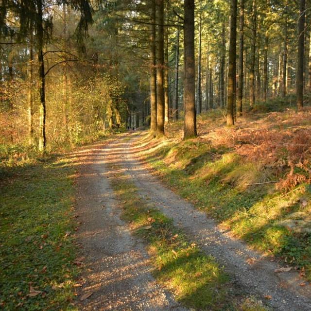 Instagram #ilovecreuse