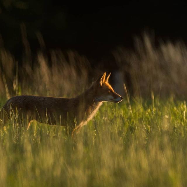 Instagram #ilovecreuse