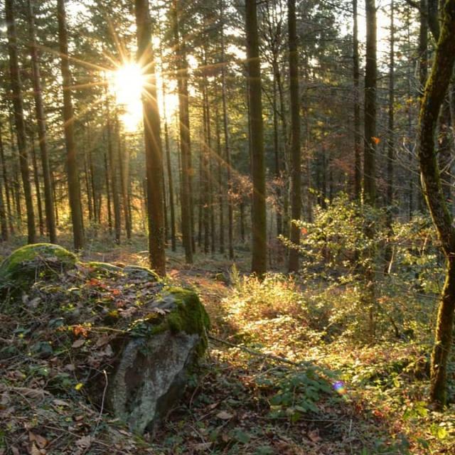 Instagram #ilovecreuse