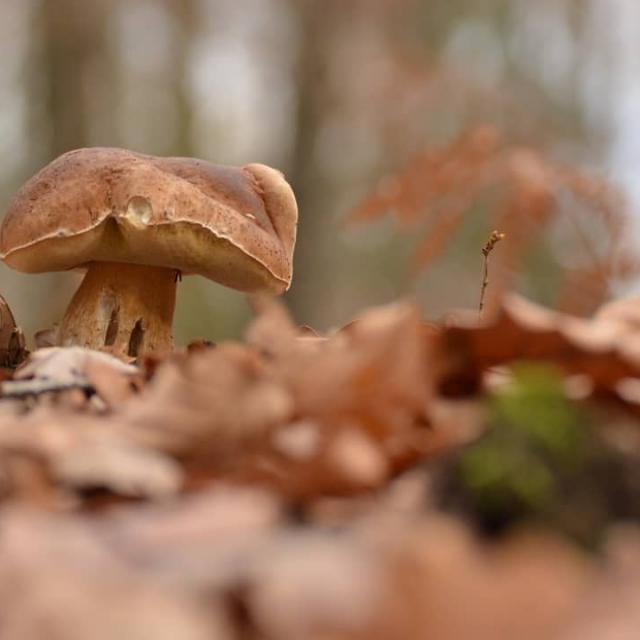 Instagram #ilovecreuse