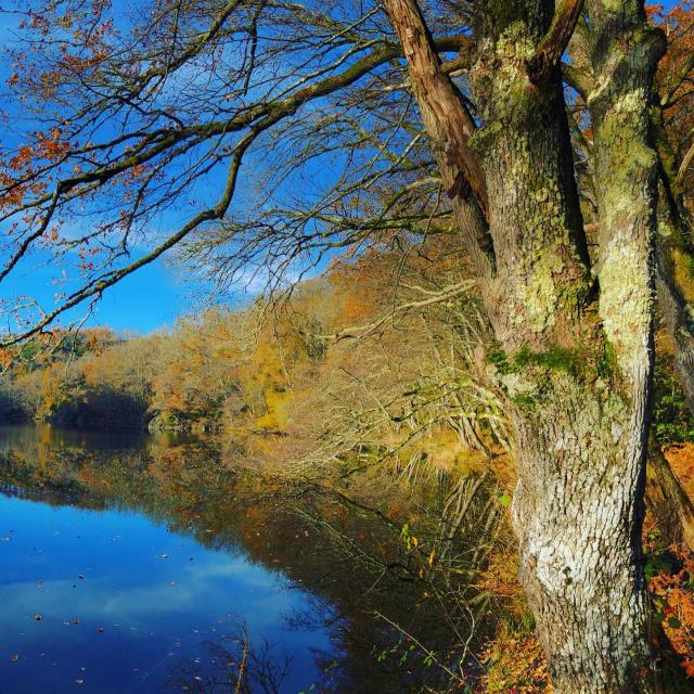 Instagram #ilovecreuse