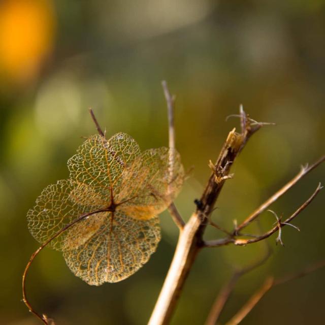 Instagram #ilovecreuse