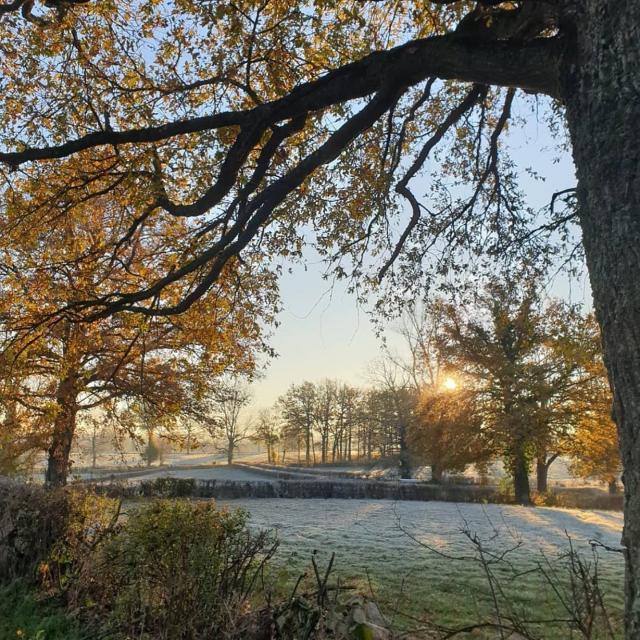 Instagram #ilovecreuse