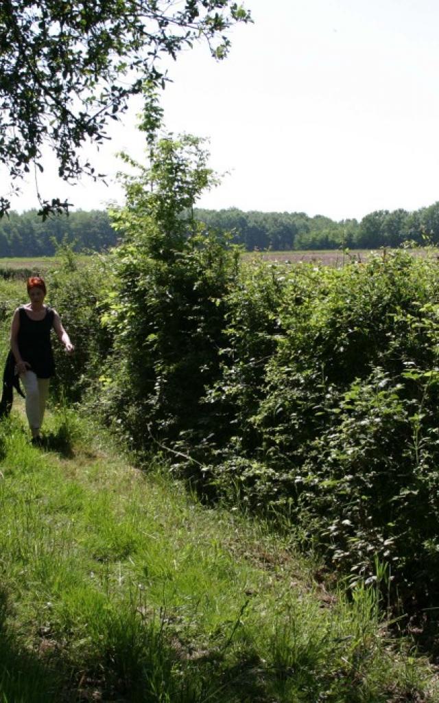 Randonnée en Creuse ©M.Villejoubert- MTijeirase