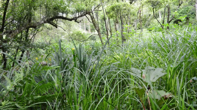 Jardin Clos du Préfons - Crozant