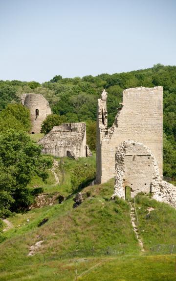 CROZANT - CREUSE - CPA 23 - Jolie carte couleur Les ruines EUR 4,90 - FR