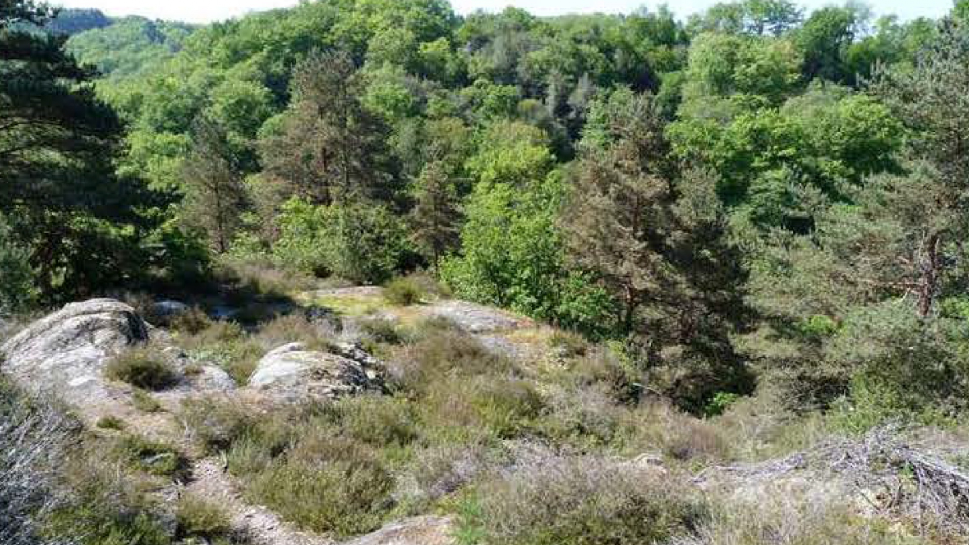 Les Combes De La Cazine