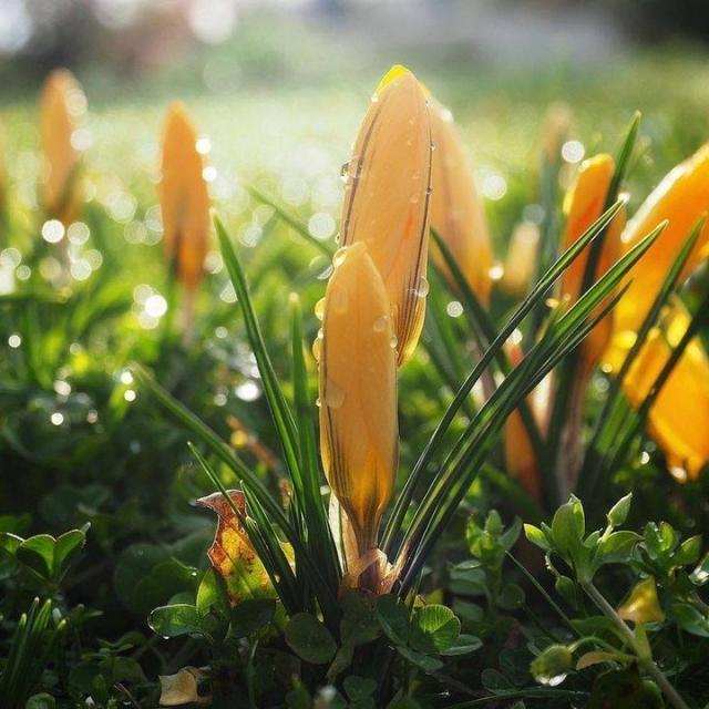 Instagram #creuseconfluencetourisme