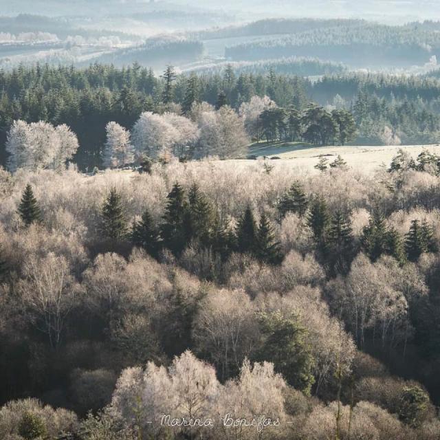 Instagram #ilovecreuse